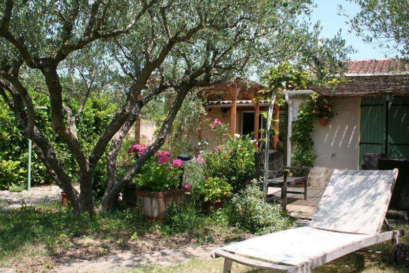 Gite Des Oliviers La Roque-sur-Ceze Exterior photo